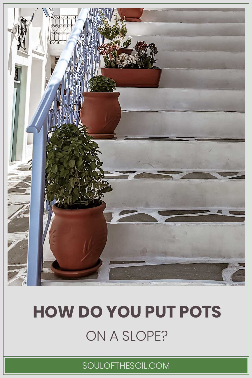 Potted plants kept in concrete slope - How Do You Put Pots On A Slope?