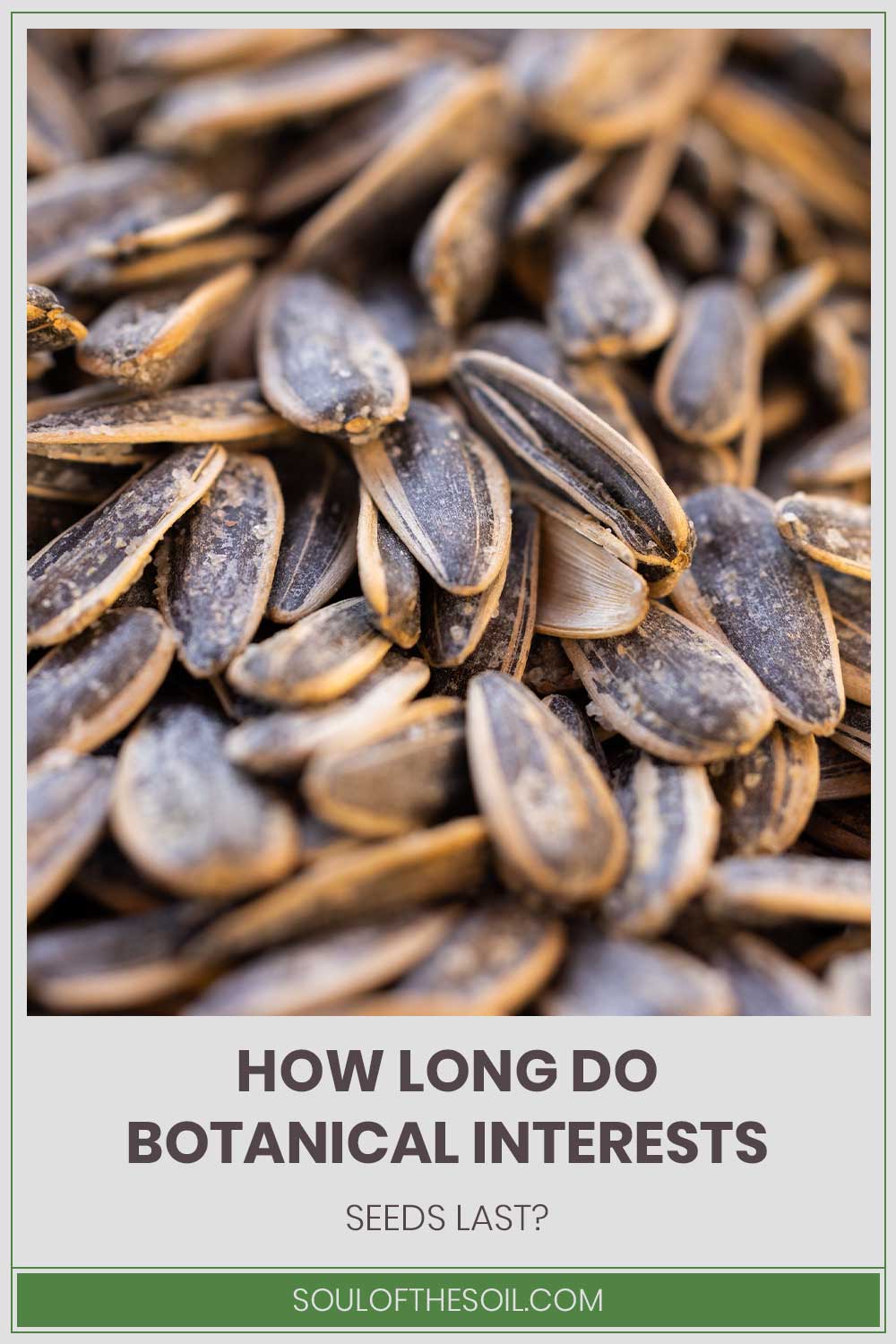 Some seeds - How Long Do Botanical Interests Seeds Last?