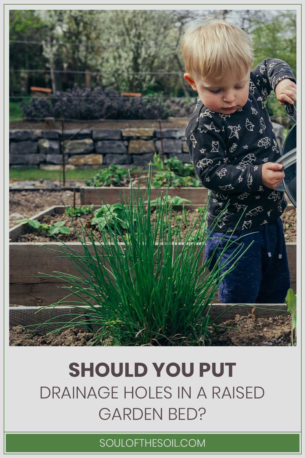 Little boy watering on plants - Should You Put Drainage Holes In A Raised Garden Bed?