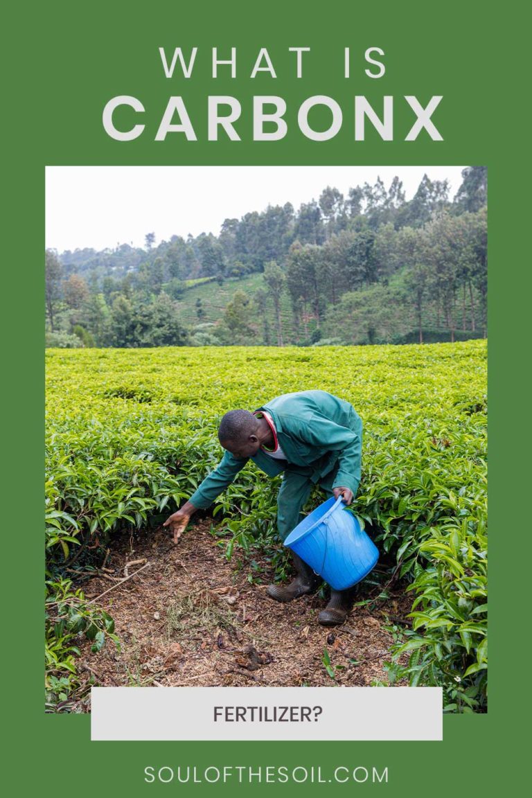 What Is CarbonX Fertilizer? Soul of the Soil
