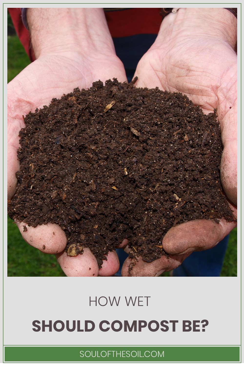 Man wearing red t shirt and blue pant standind with handful of compost - How Wet Should It Be?