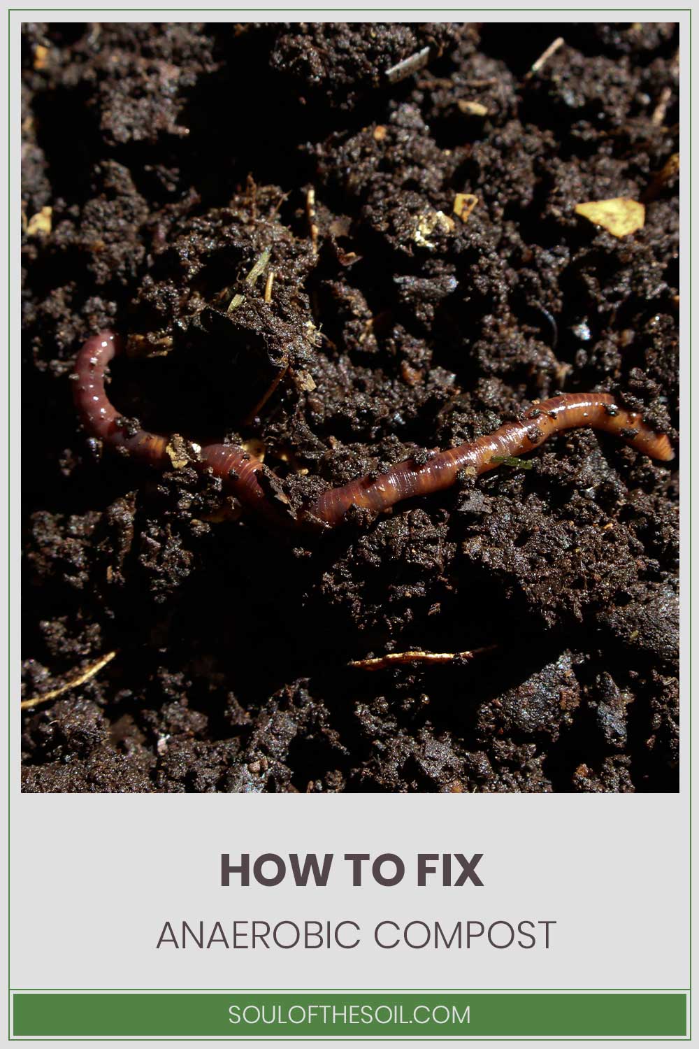 A worm in moist clay - How to Fix Anaerobic Compost?