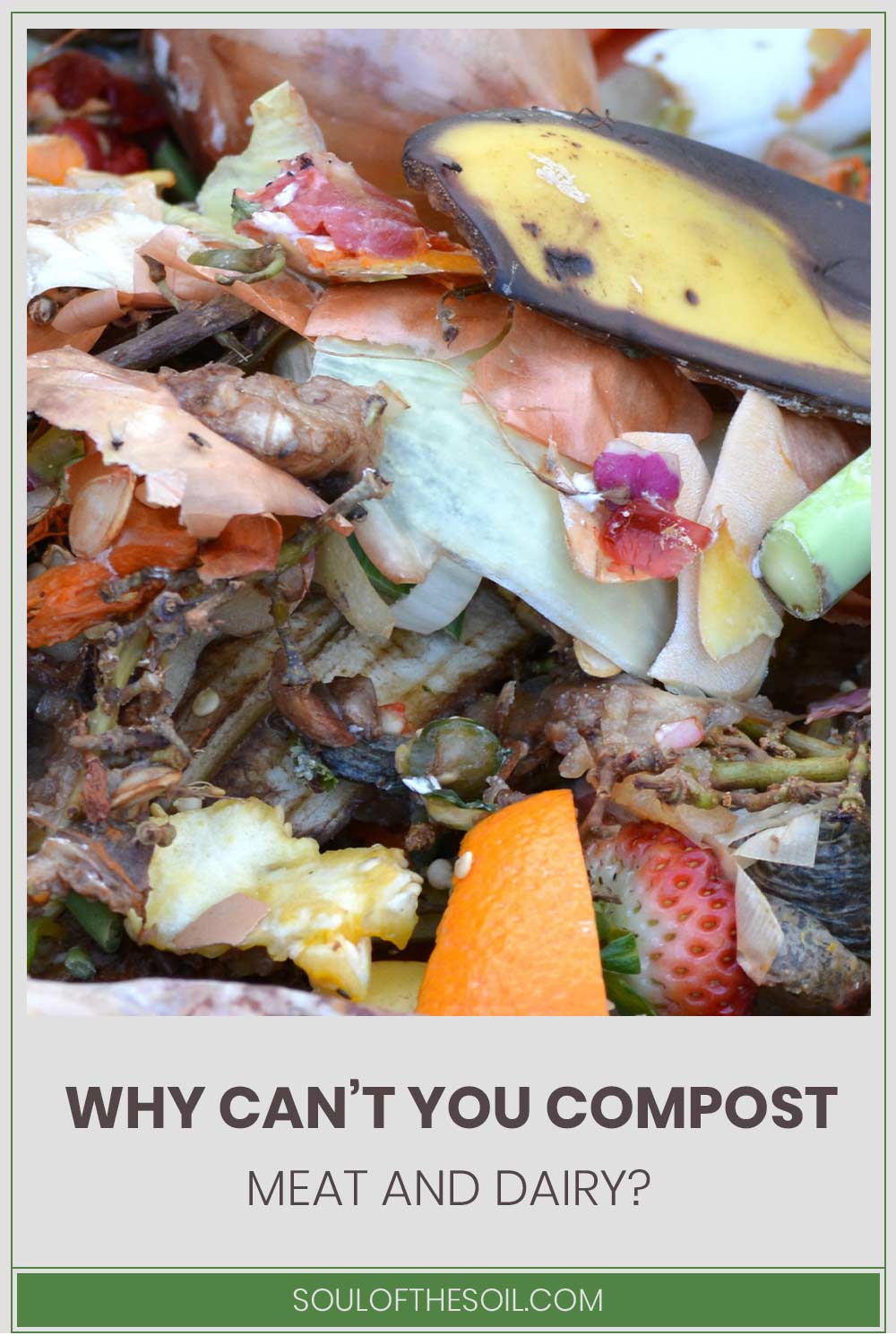 Some rotten fruits - Why Can’t You Compost Meat And Dairy?