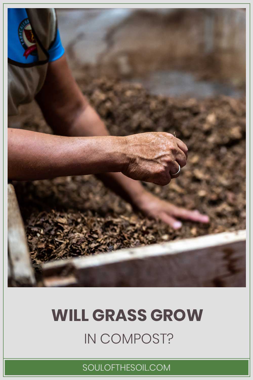 Person working in a pile of dead crushed leaves - Will Grass Grow in Compost?