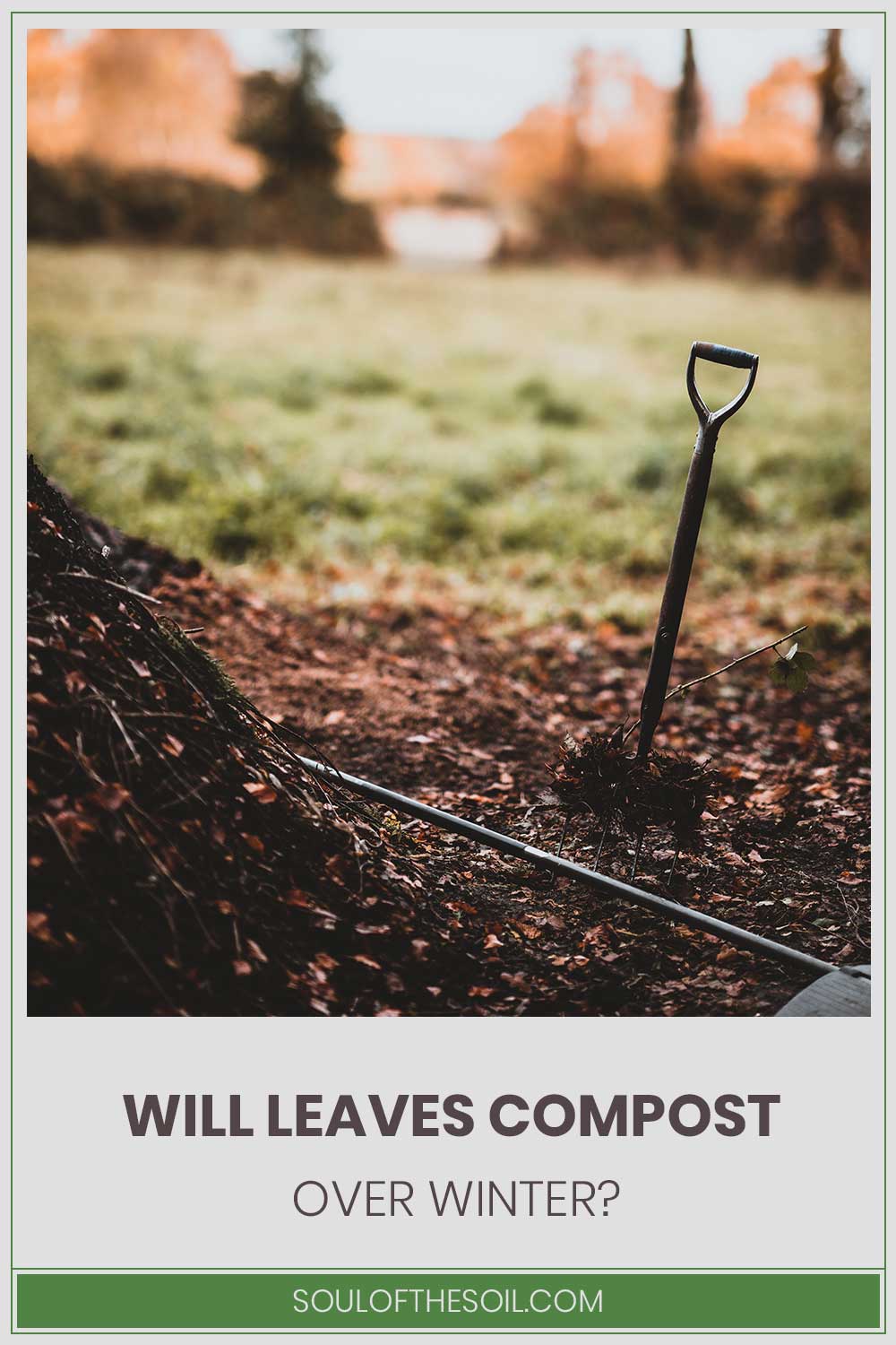A shovel near a pile of dead leaves - will they compost over winter?