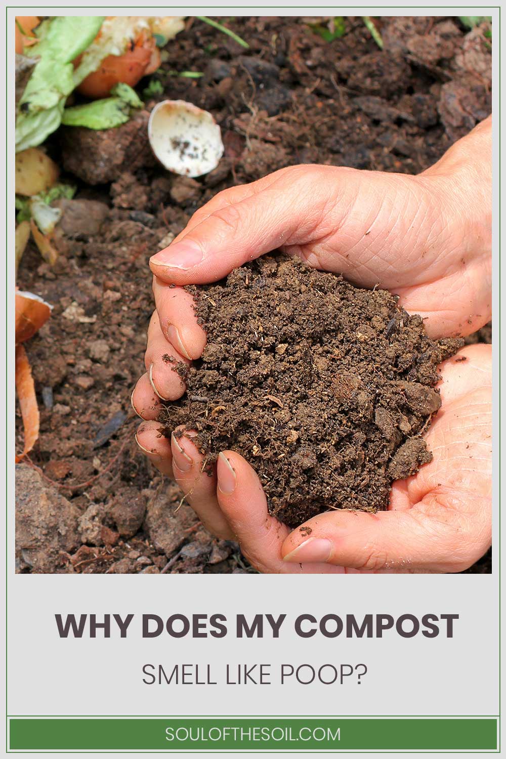 A man holding a handful of compost from the pile of it - Why does it smell like poop?